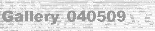 Gallery_040509