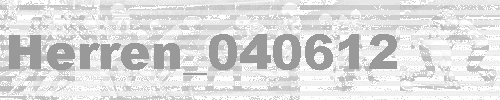 Herren_040612