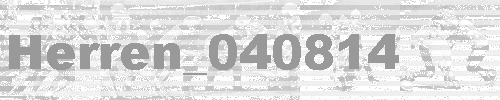 Herren_040814